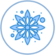 Festival Icon